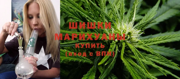 крисы Белокуриха