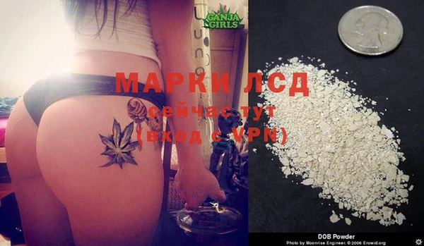 крисы Белокуриха