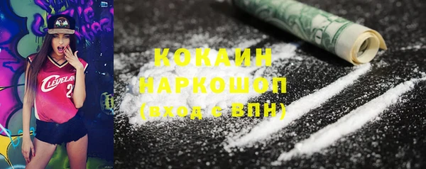 крисы Белокуриха