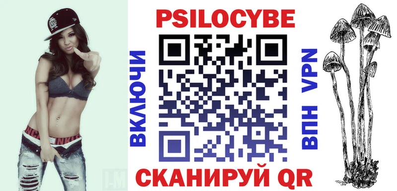 блэк спрут ССЫЛКА  Волосово  Галлюциногенные грибы Psilocybe 